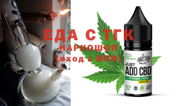 гашик Ельня