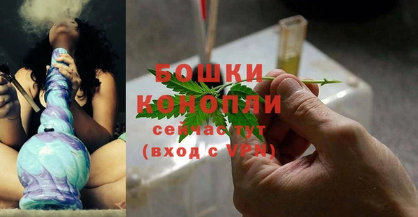 гашик Ельня