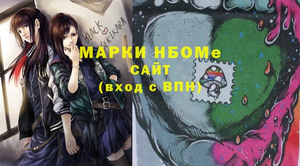 гашик Елизово