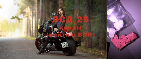 гашик Елизово