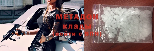гашик Ельня