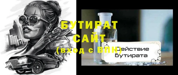 гашик Ельня