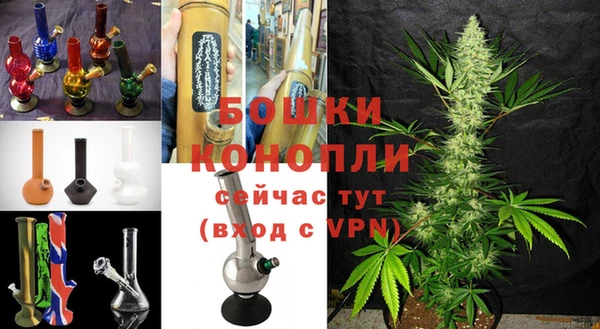гашик Елизово