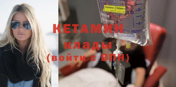 гашик Ельня