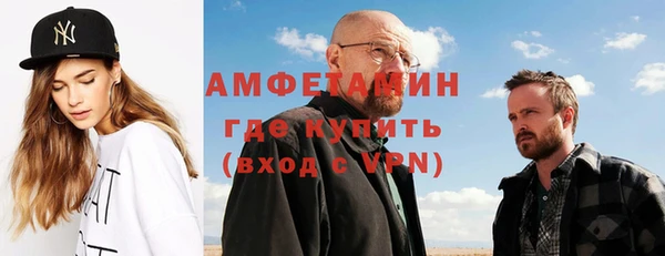 гашик Ельня