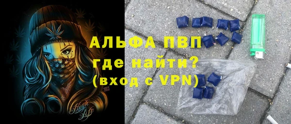 гашик Ельня