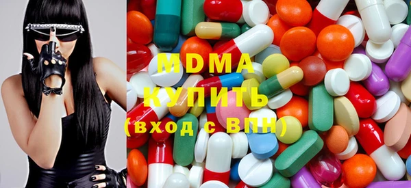 гашик Ельня