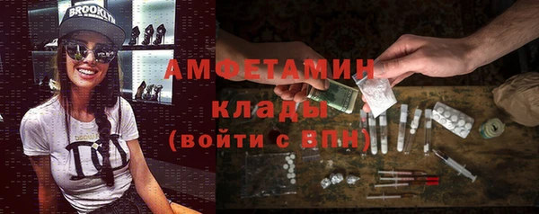 гашик Ельня
