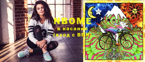 гашик Ельня