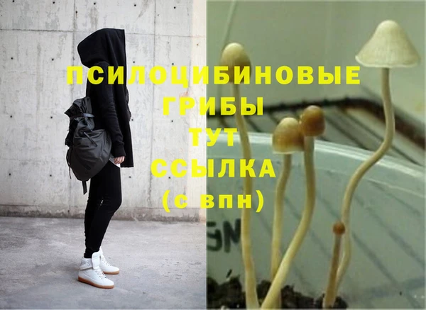 меф Елабуга