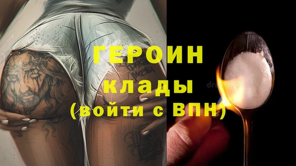 гашик Ельня