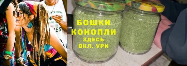 гашик Ельня