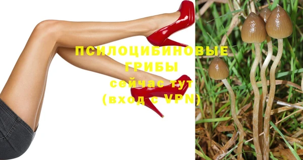 гашик Ельня