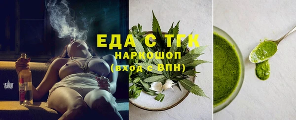 гашик Ельня