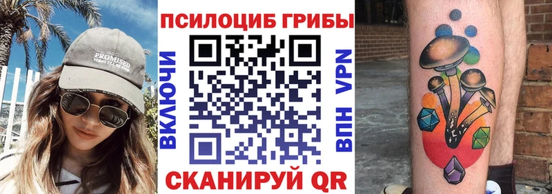 Купить закладки  Городец  Галлюциногенные грибы Psilocybe 
